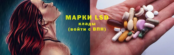 индика Беломорск