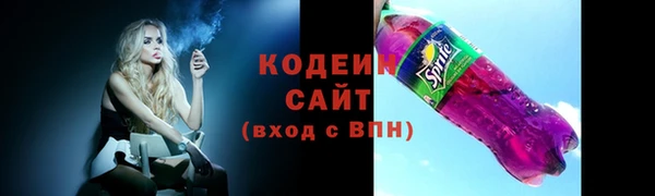 индика Беломорск