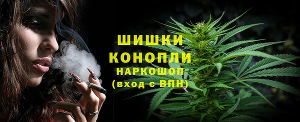индика Беломорск
