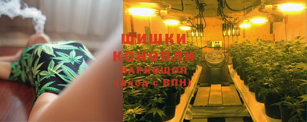 индика Беломорск
