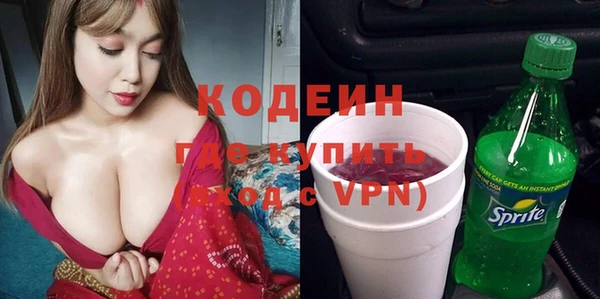 индика Беломорск